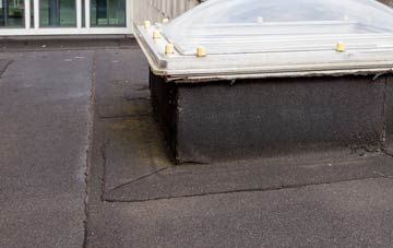disadvantages of Playford flat roofs