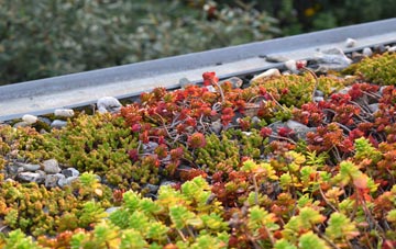 the cost of Playford green roof installation